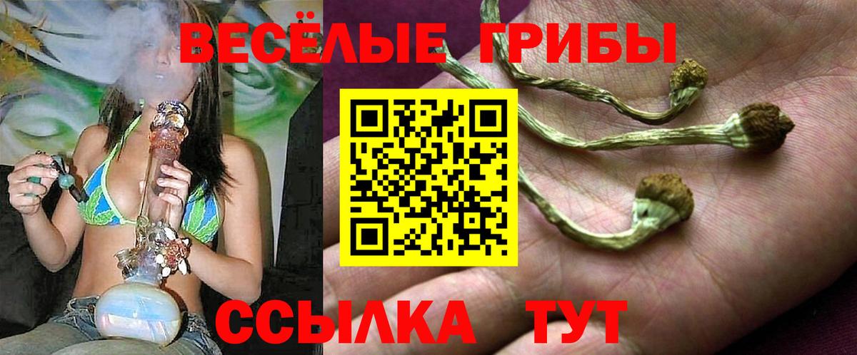 Галлюциногенные грибы прущие грибы Белая Калитва